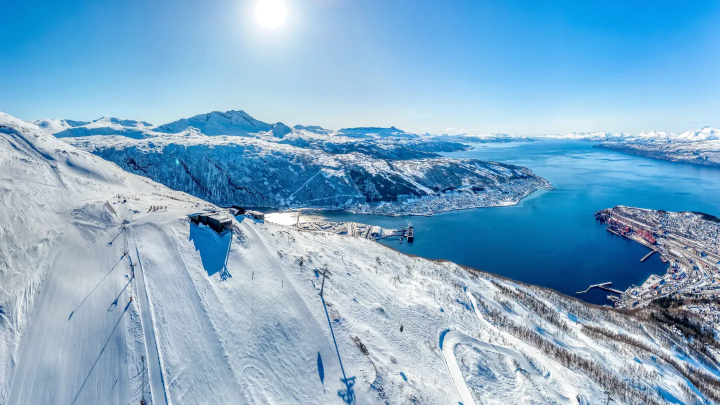 Narvik 2029