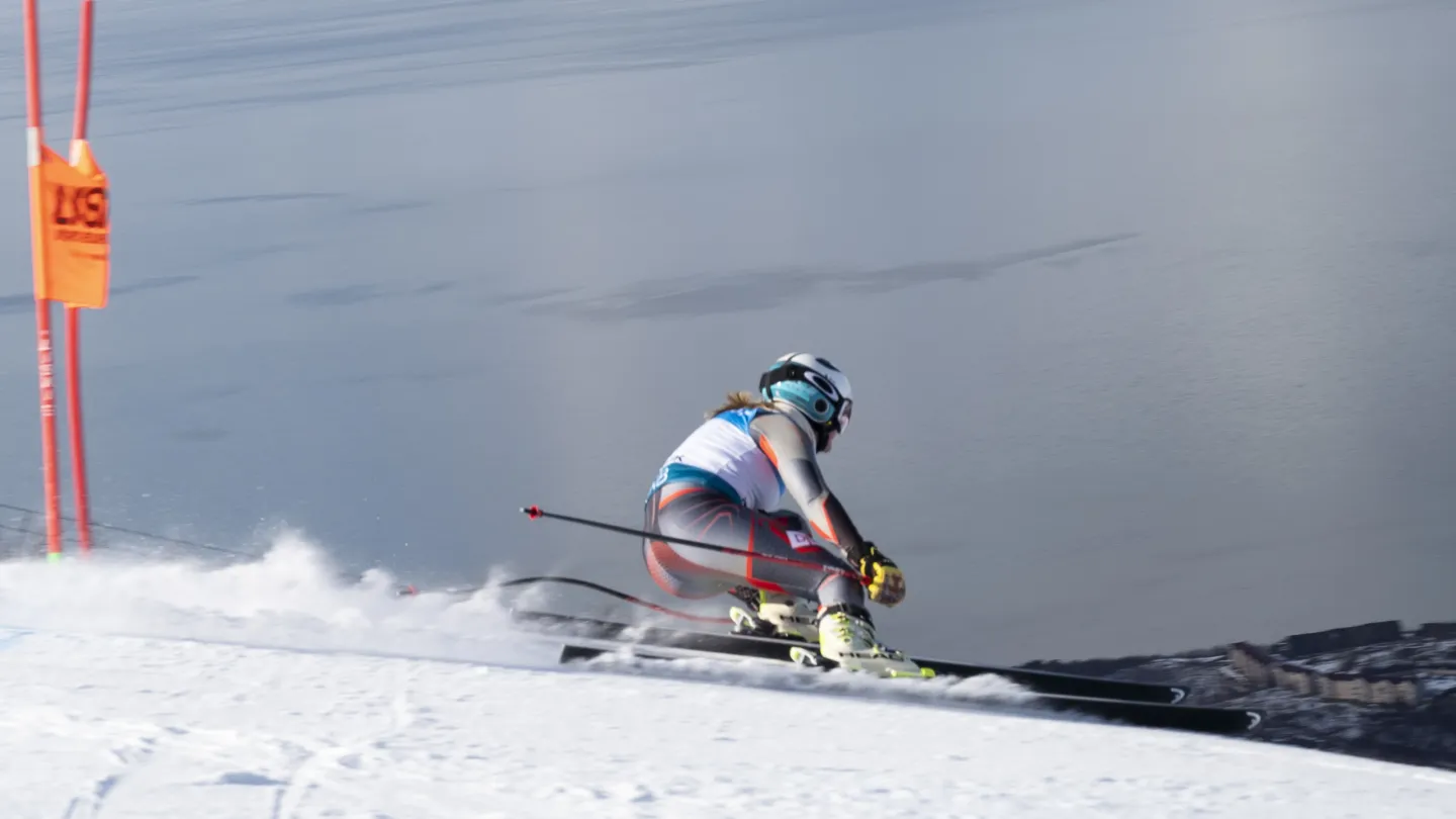 Narvik 2029