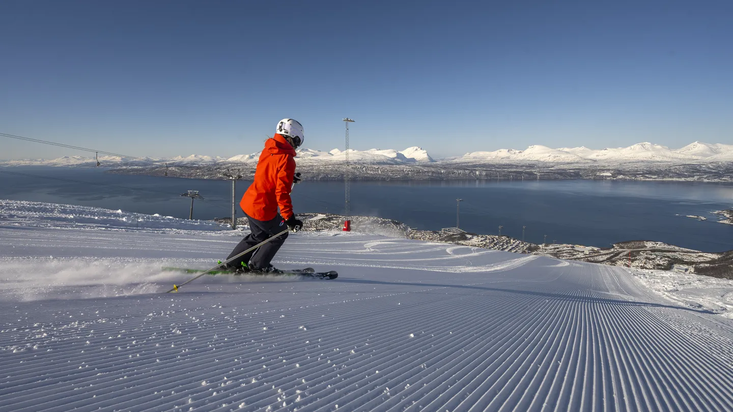Narvik